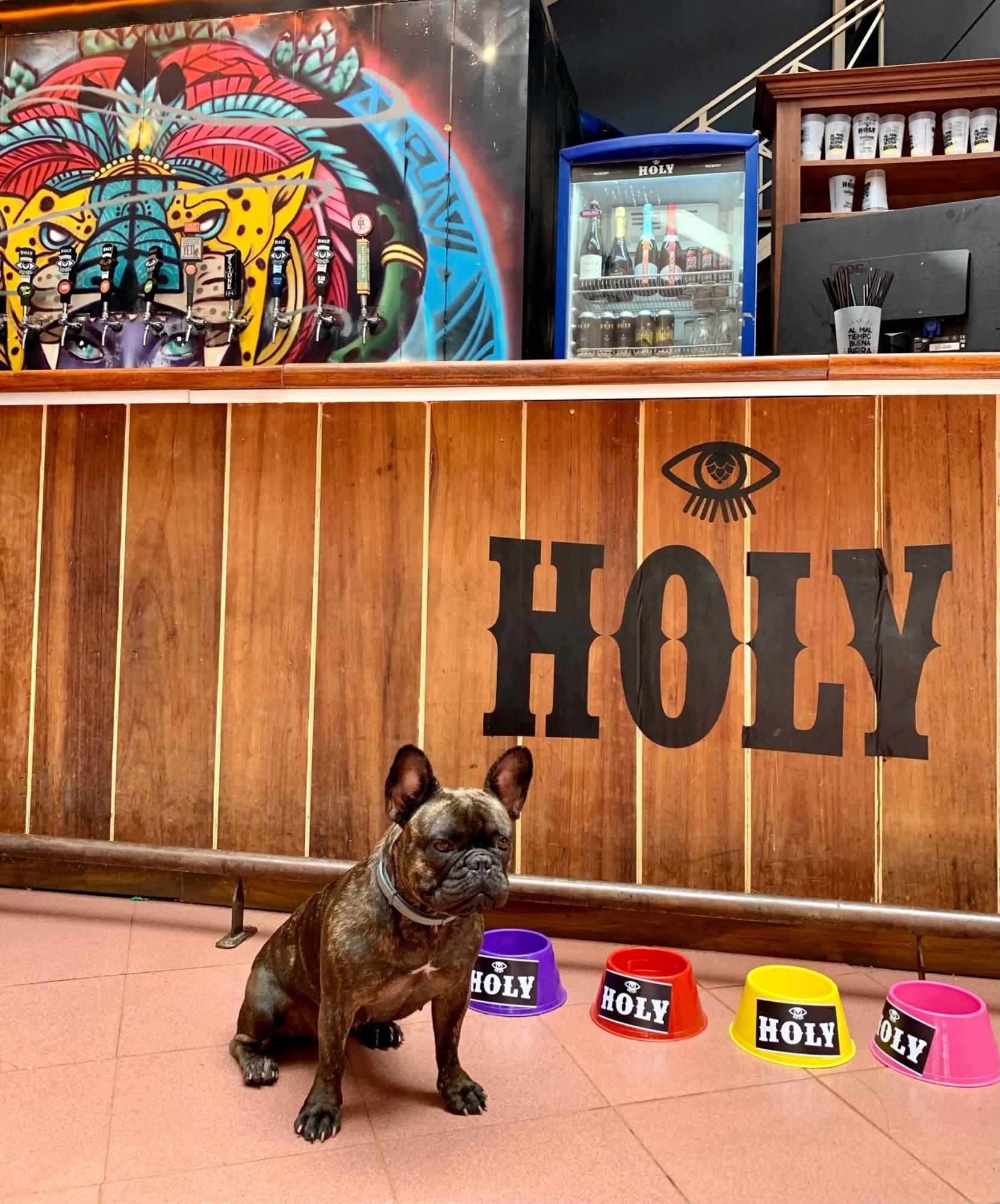 Beer Hotel Iguazu プエルト・イグアス エクステリア 写真