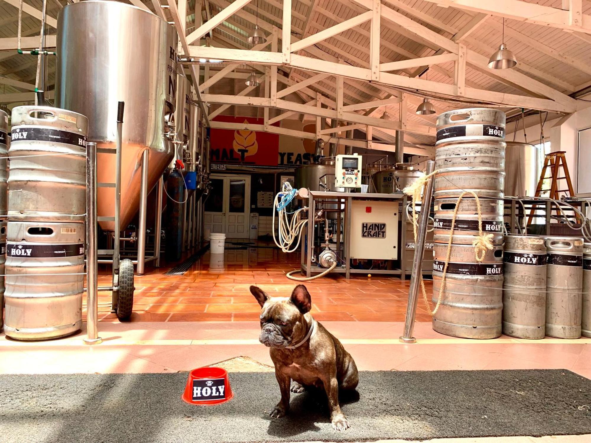 Beer Hotel Iguazu プエルト・イグアス エクステリア 写真